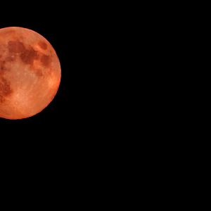 Red MOON