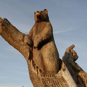 Wooden Carving Bear
