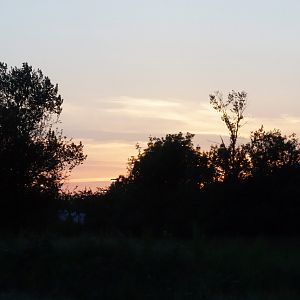 Sunset Silhouette