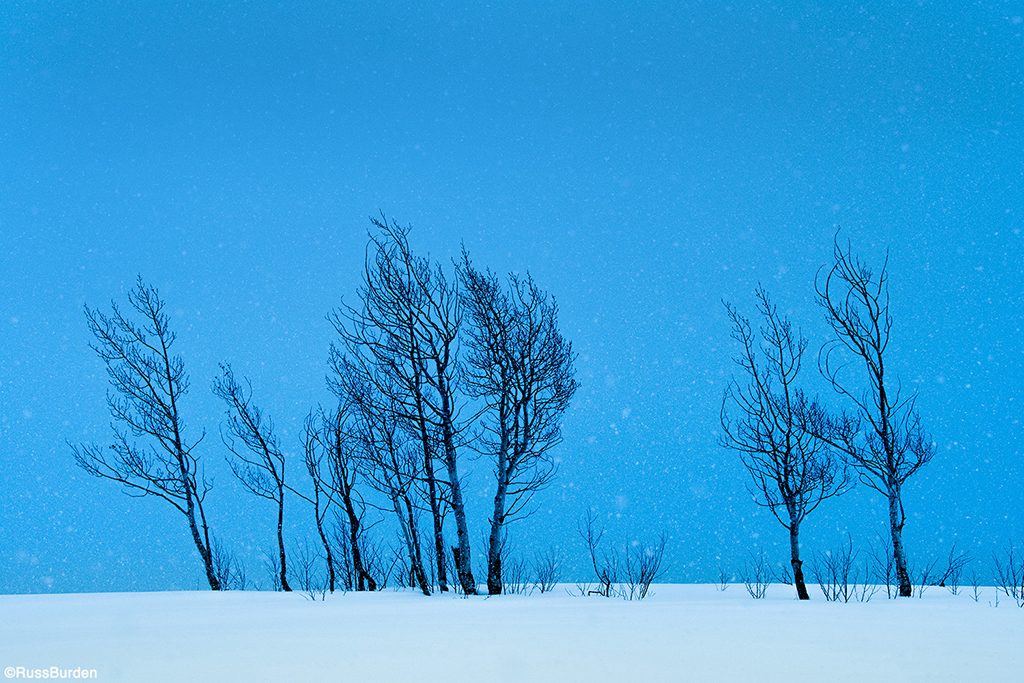 Landscapes_In_Snow_05.jpg