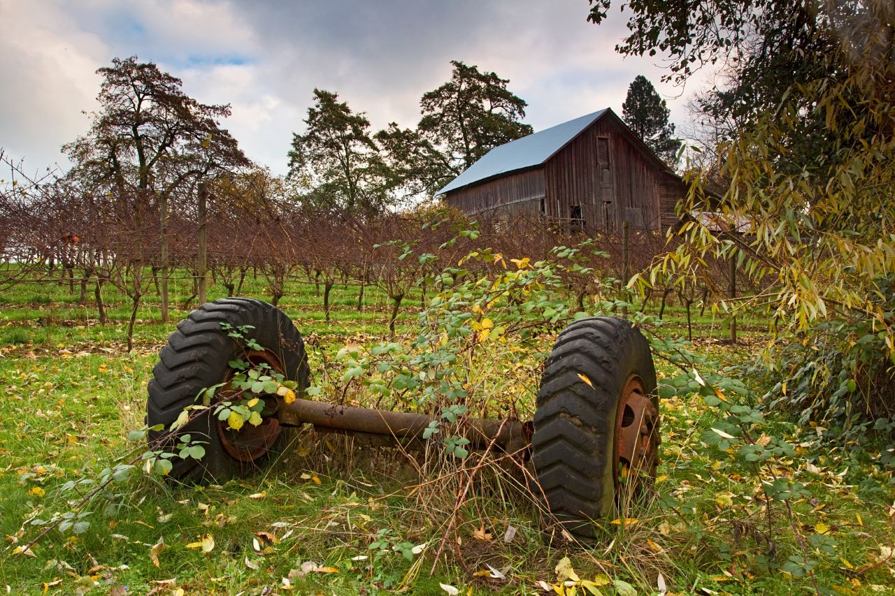 Barn, vines and an axle.