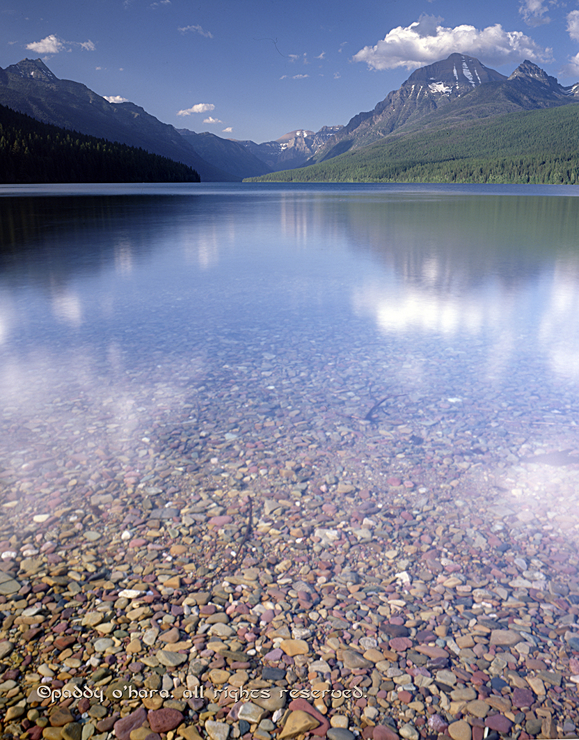 Bowman Lake, Glacier NP (from 4x5)