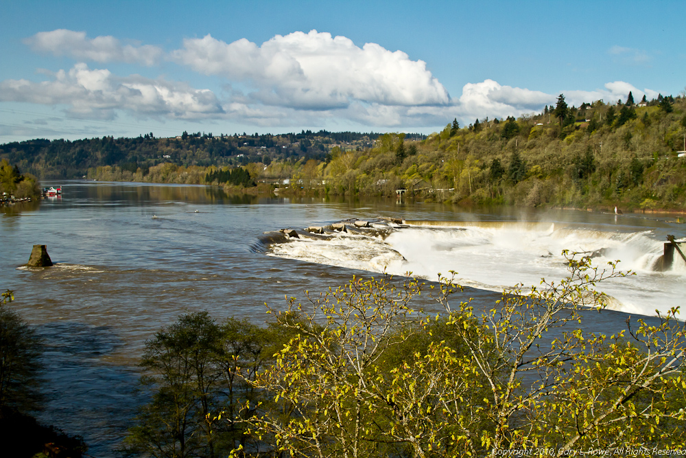 Early Morning View of Willamette Falls