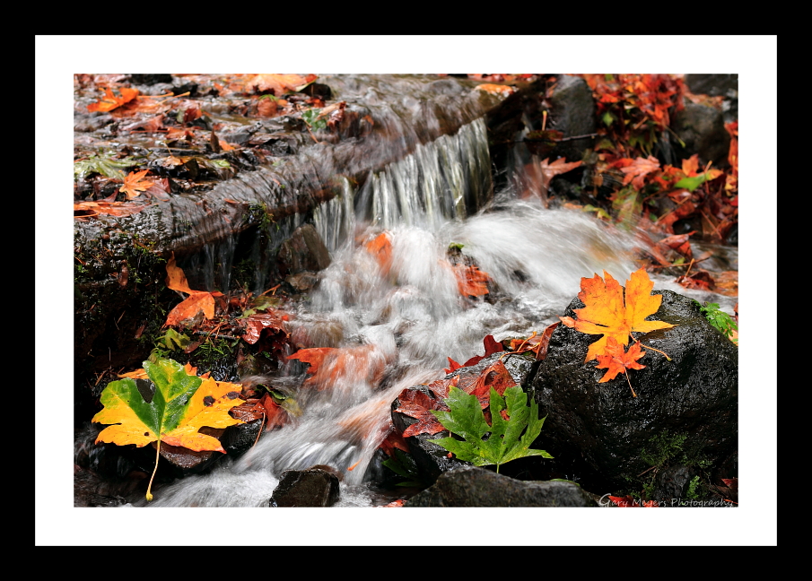 Fall at Wahkeena Creek