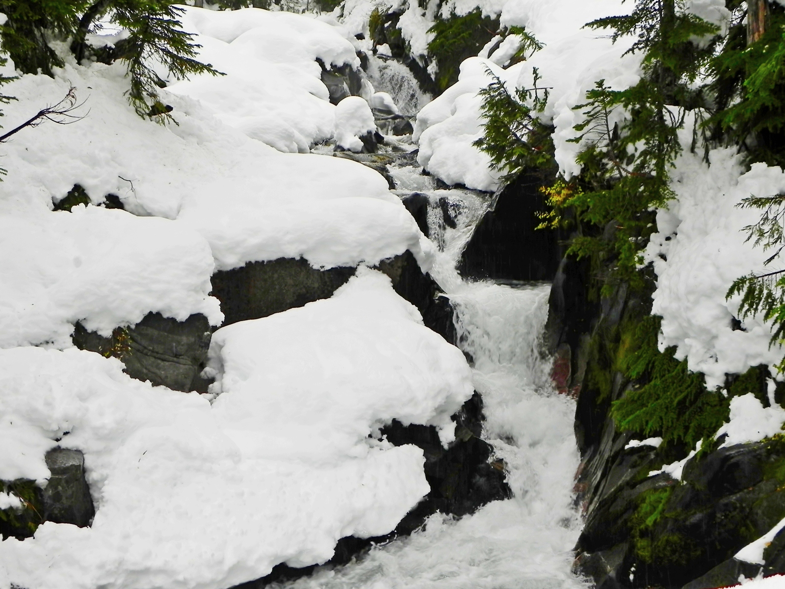 Falls at Mount Rainier