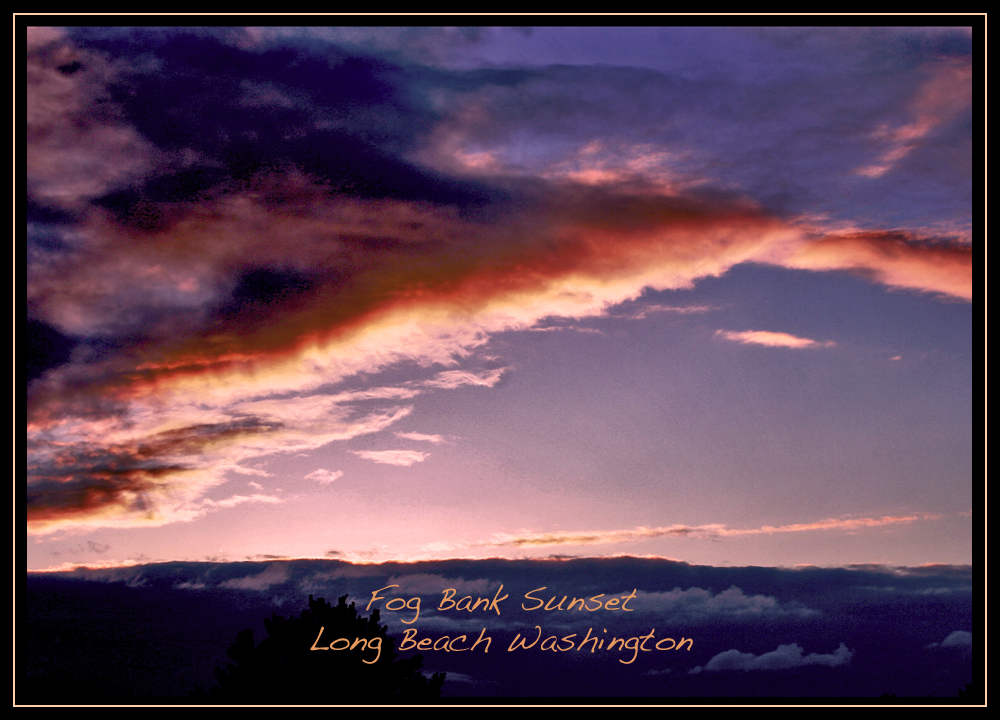 Fog Bank Sunset - Long Beach WA