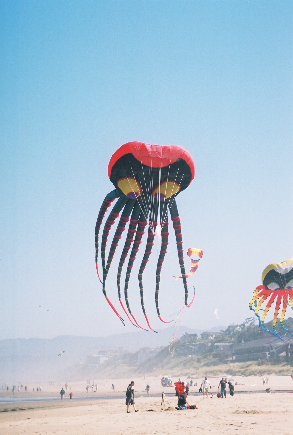 Kite Festival and More