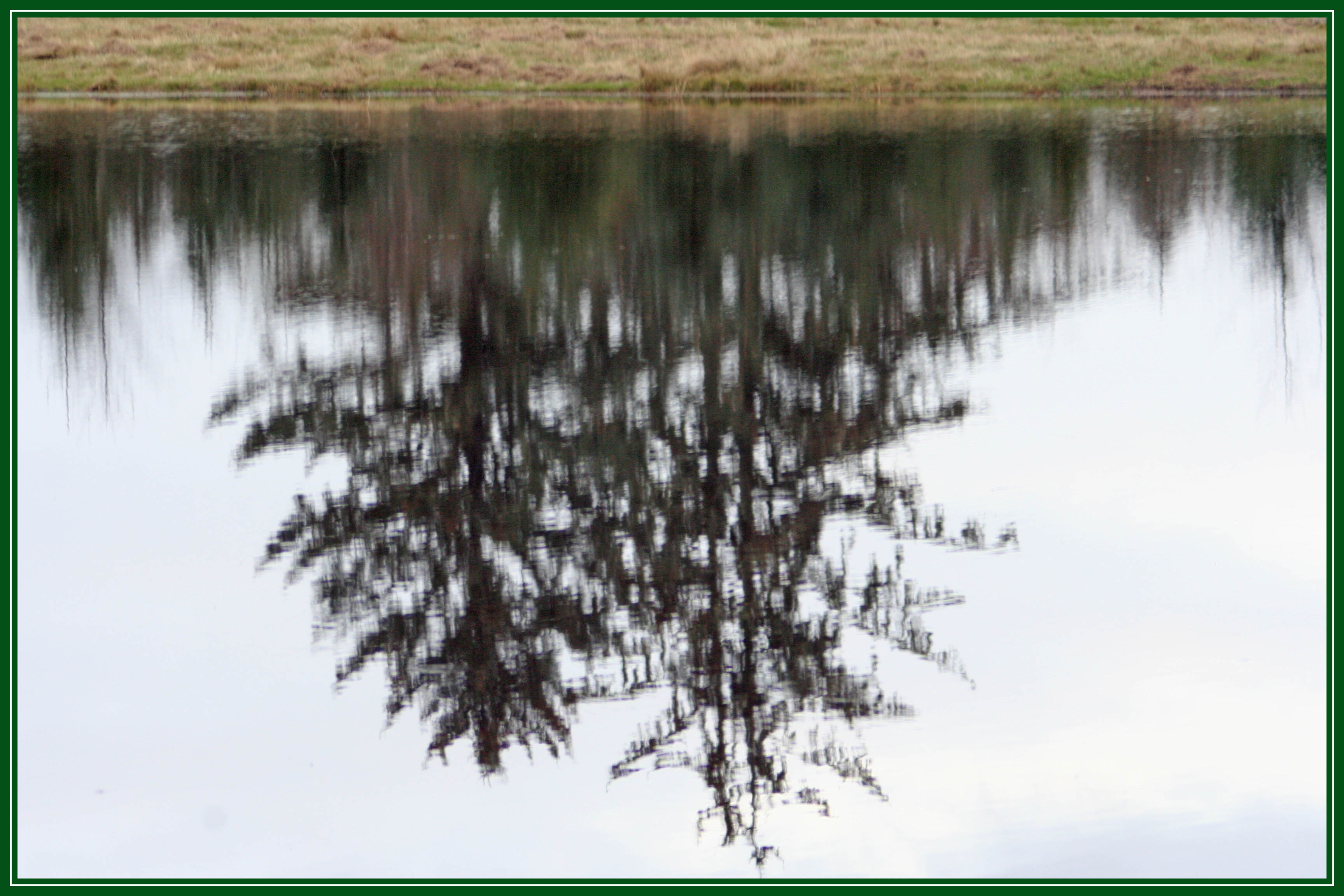 Playing with Pond Reflection