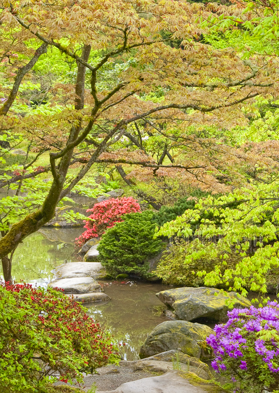 Spring at the Japanese Garden