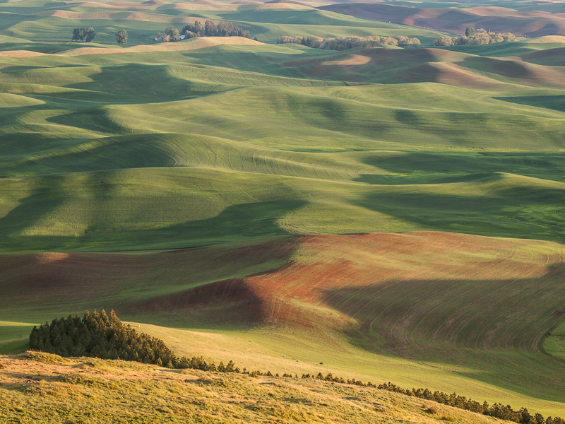 The Palouse from Steptoe Butte