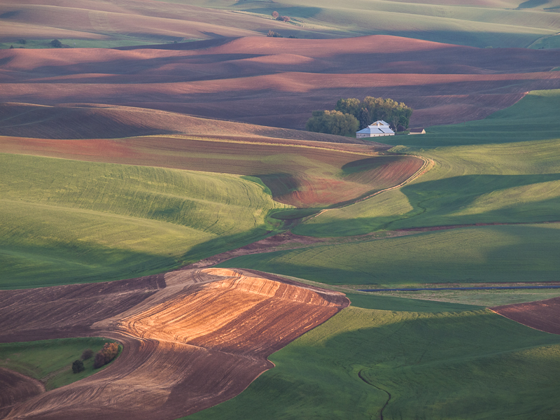The Palouse from Steptoe Butte