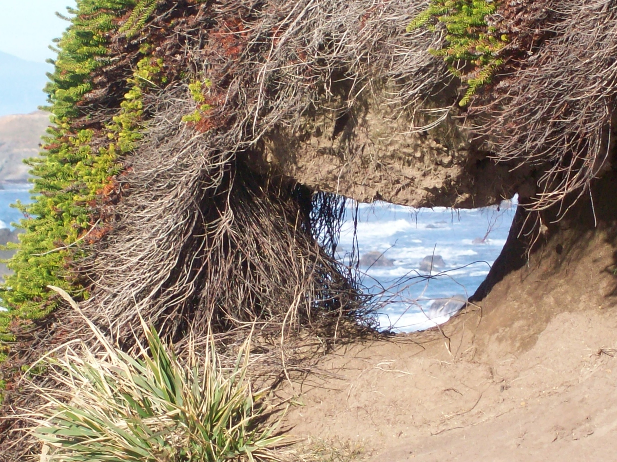 Through the sandy bank