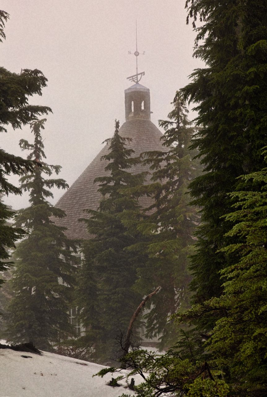 Timberline Lodge Through the Trees
