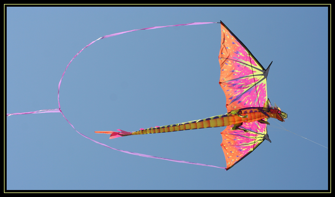 Washington State International Kite Festival 2010