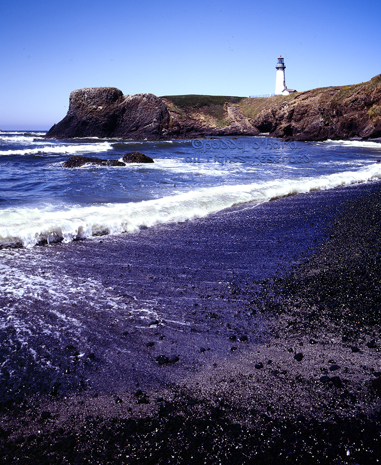 Yaquina Head (from 4x5)