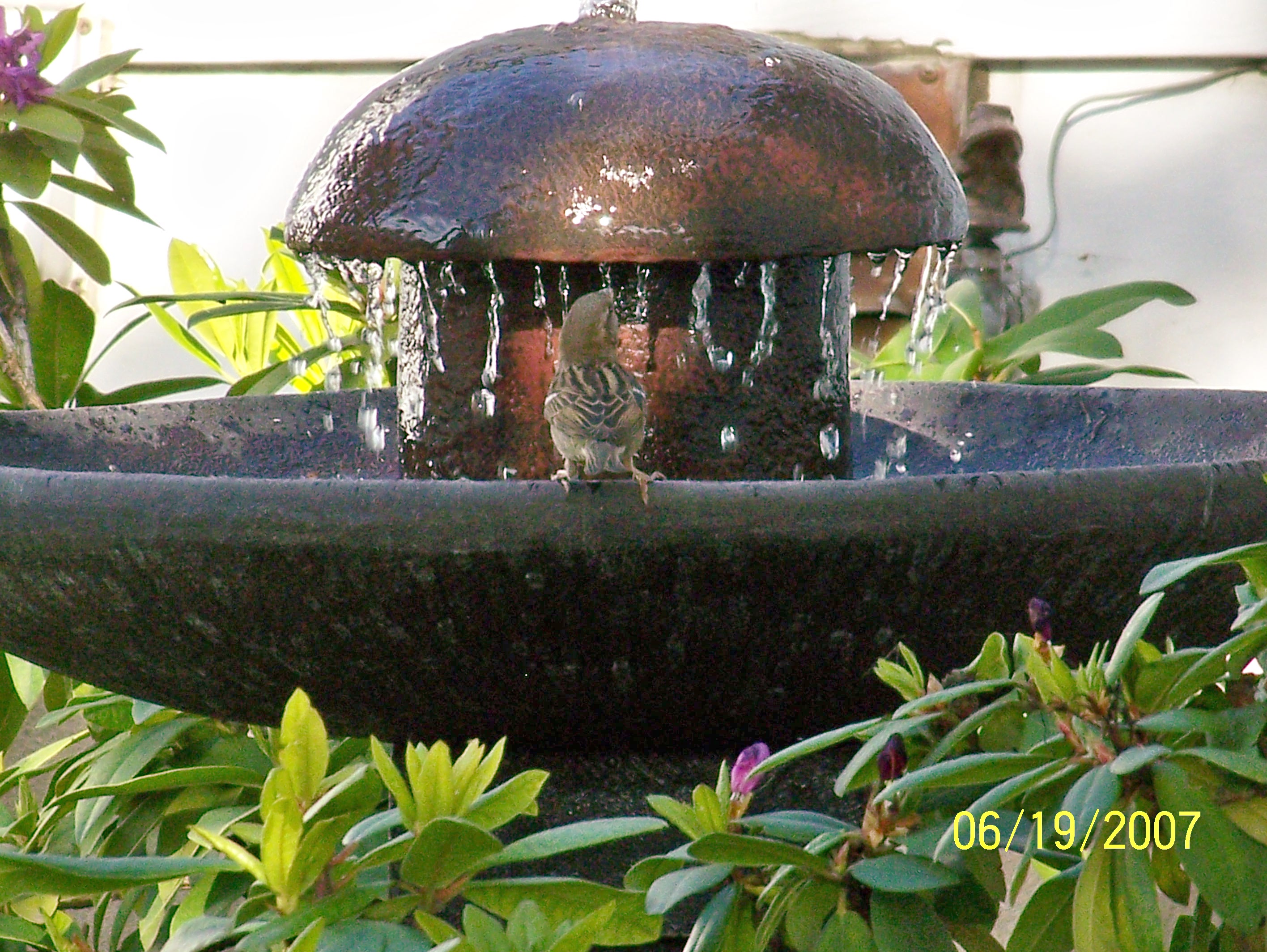 100_0072