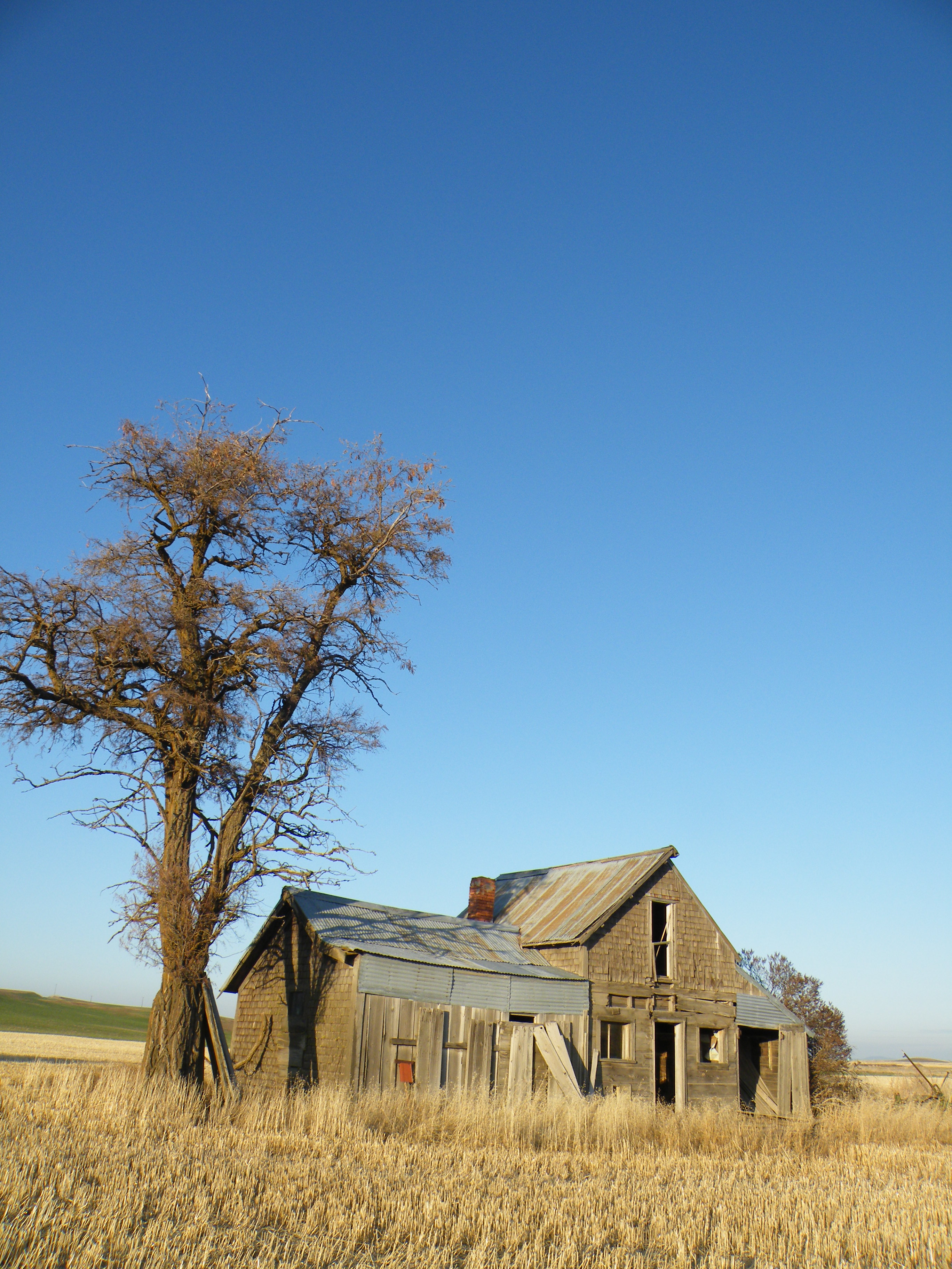 2009_1203TripReunion0021