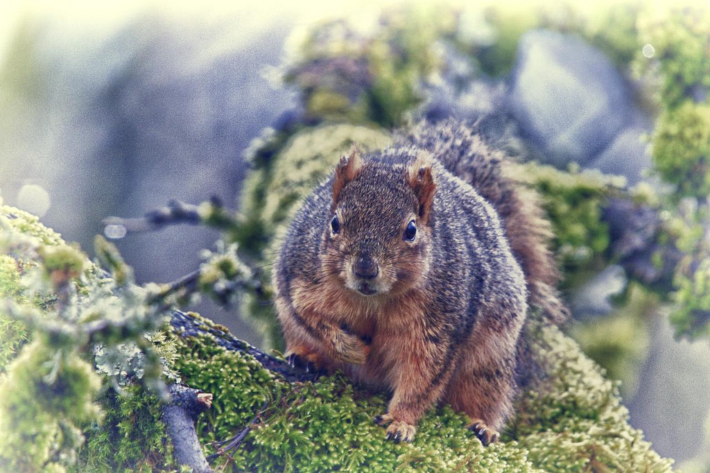 A bit squirrelly today.