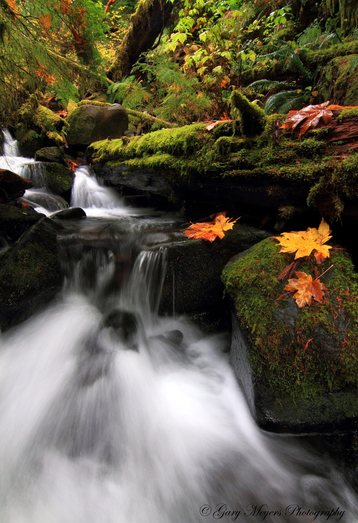 A creek along the way.