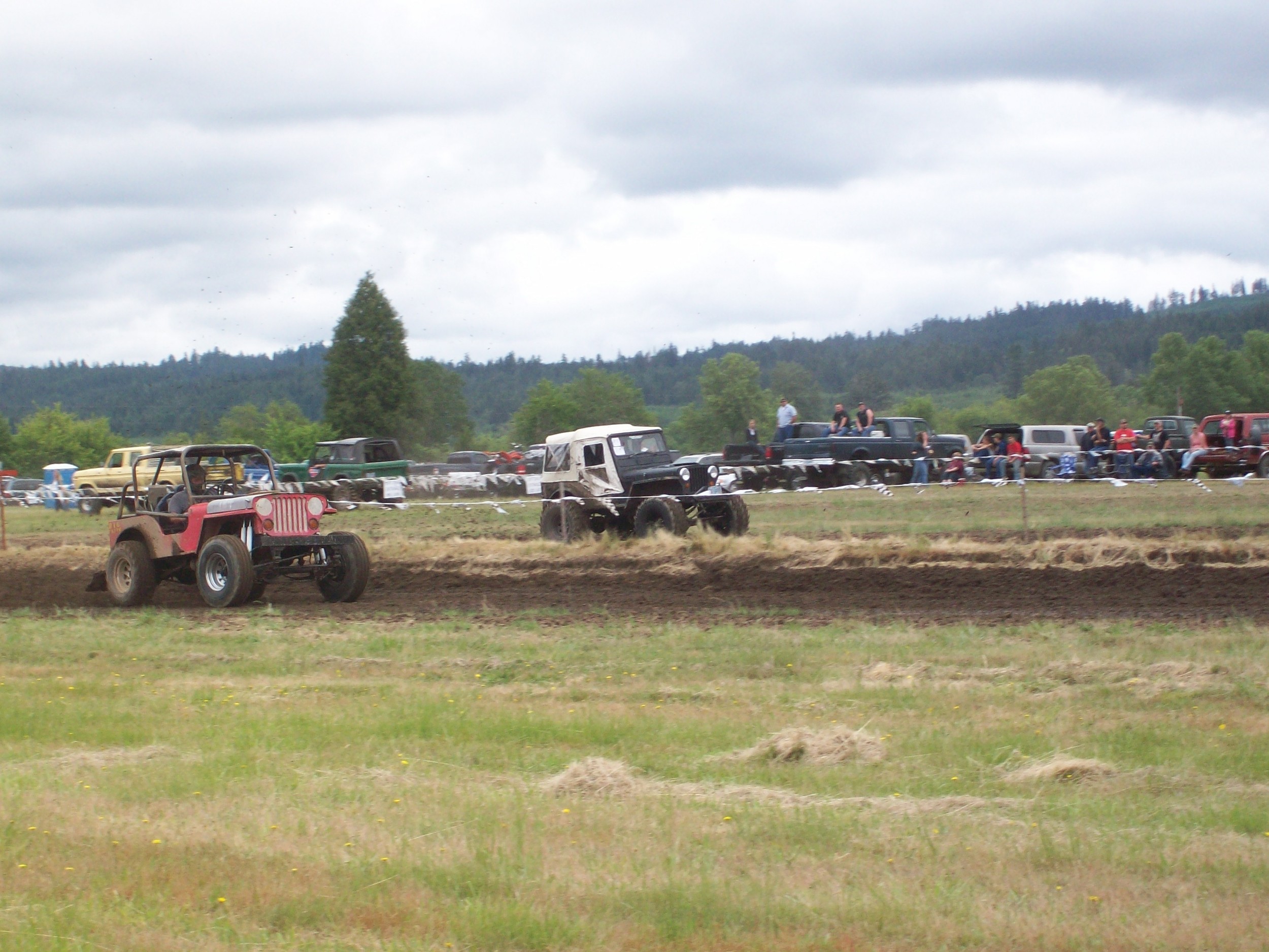 A DAY AT THE RACES