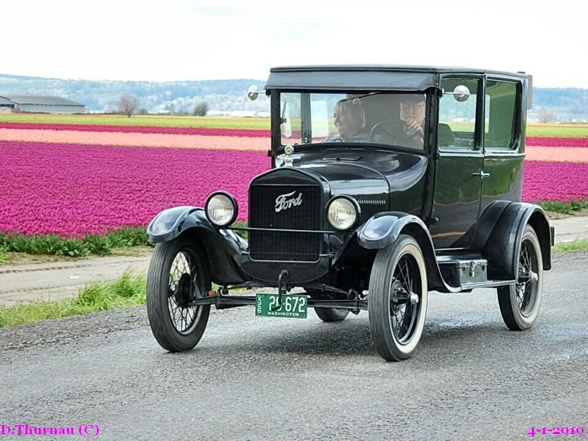 a Ford and tulips