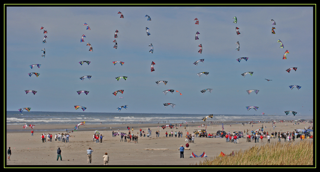 A Sea Of Kites