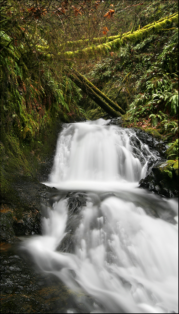 A section of falls in the gorge