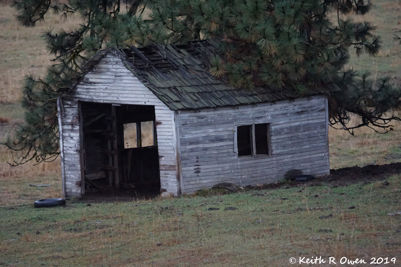 Abandoned Garage