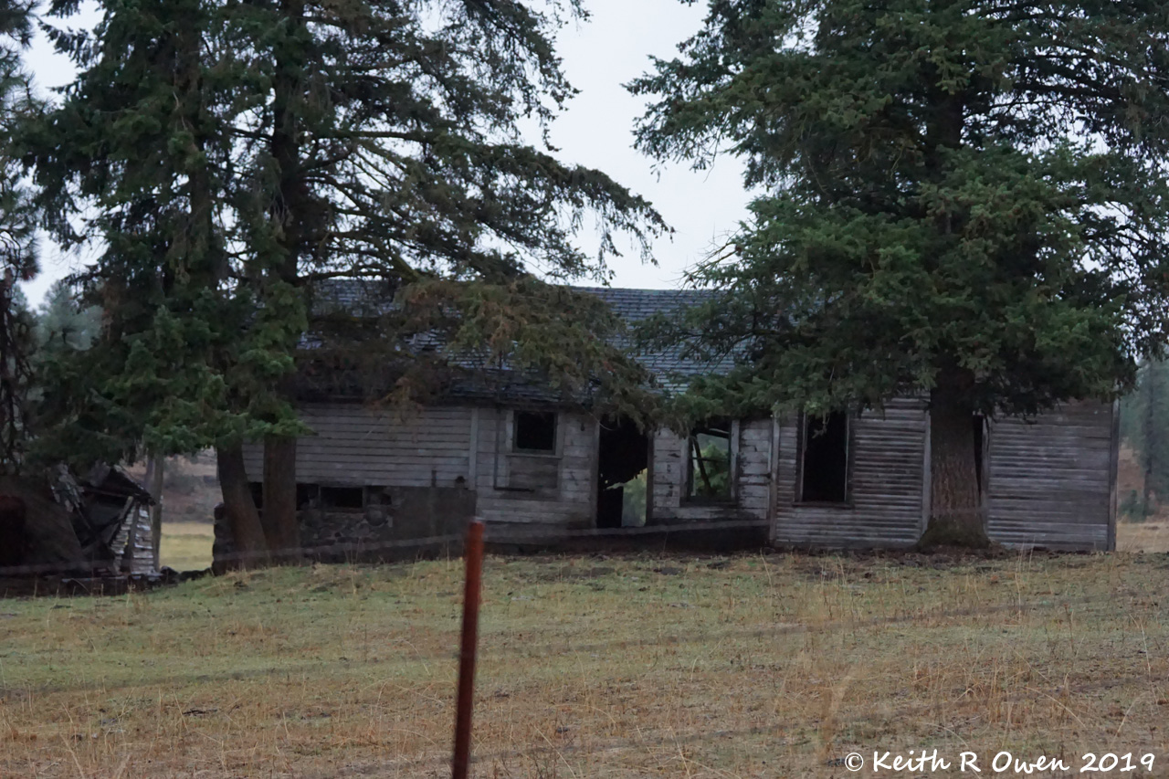 Abandoned House