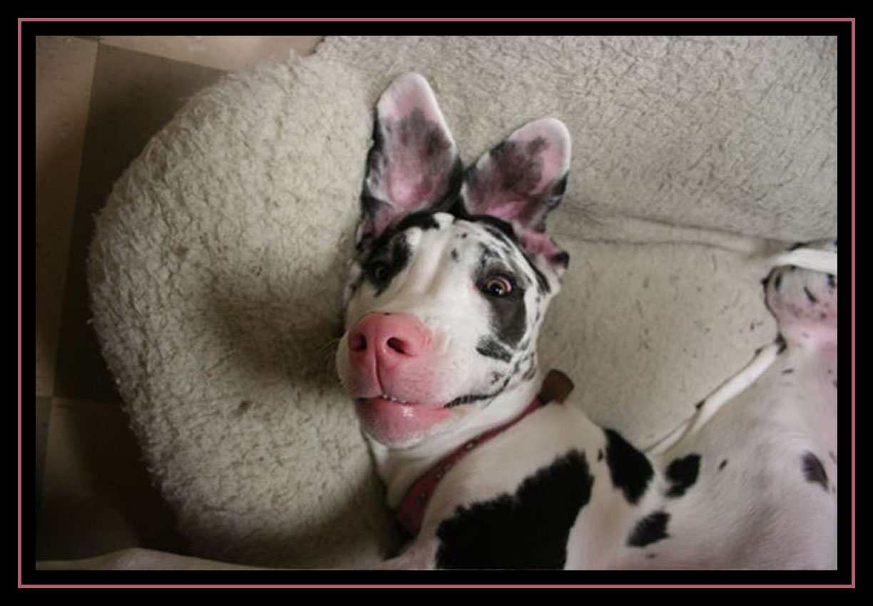 Acting Silly