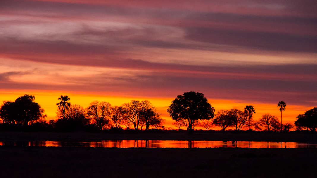 African Sunset