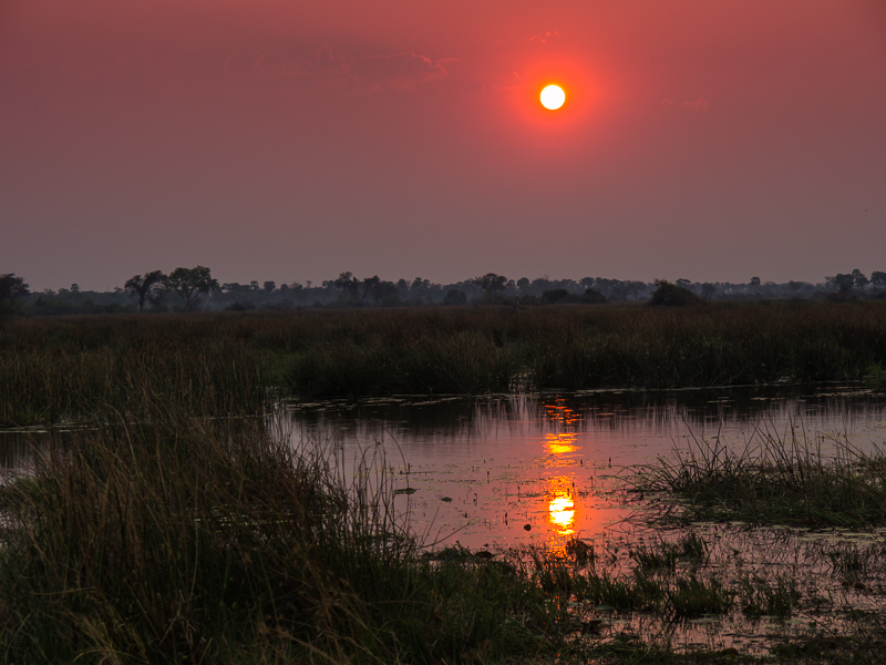 African Sunset