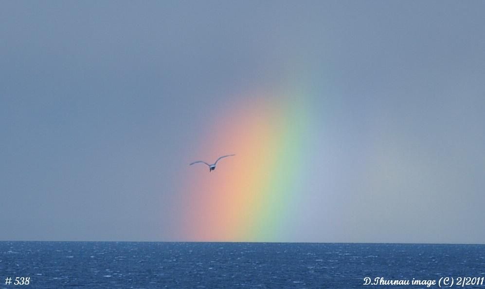 after the storm