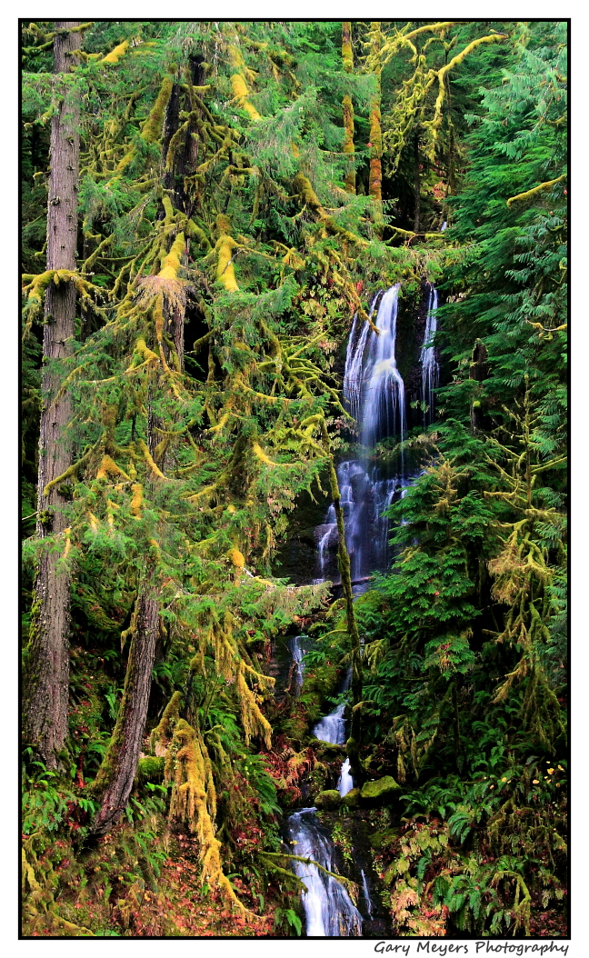 Along the trail!