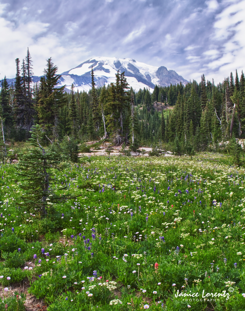 Alpine Meadows, Mount