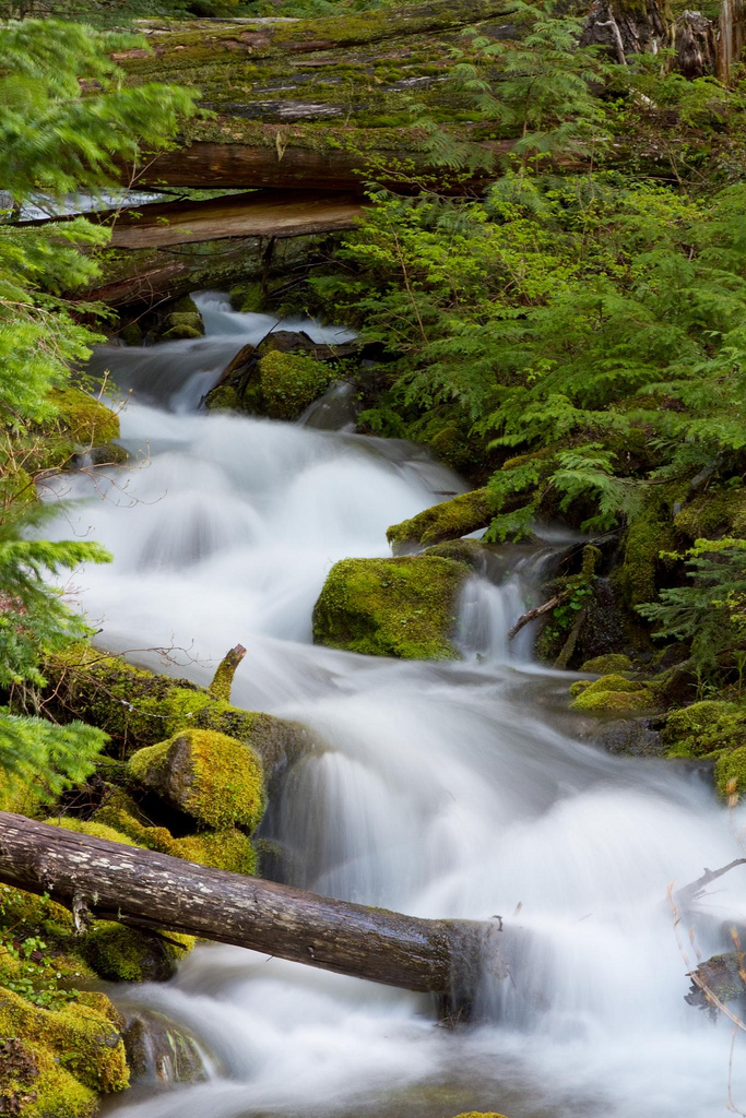 An unnamed creek (as far as I know) #2