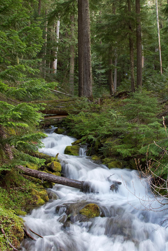 An unnamed creek (as far as I know)