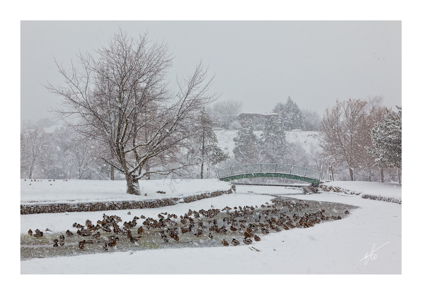 Ann Morrison Park, Boise, ID