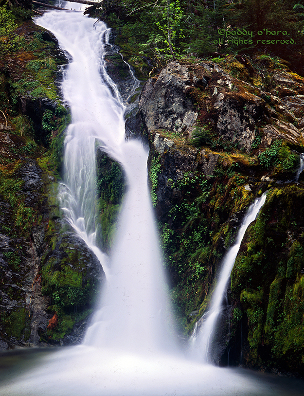 Another Opal Creek Fall (from 4x5)