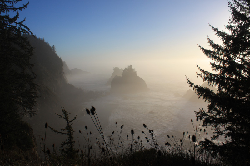 Arch Rock Or State Park South Coast