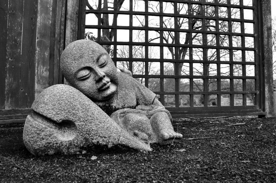Asleep in the Garden