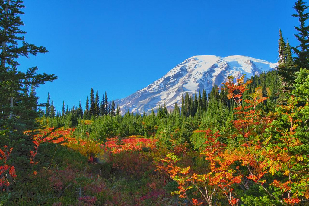 Autumn in Paradise