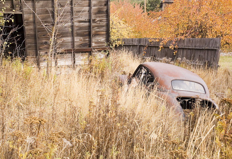 Autumn in Roslyn, WA
