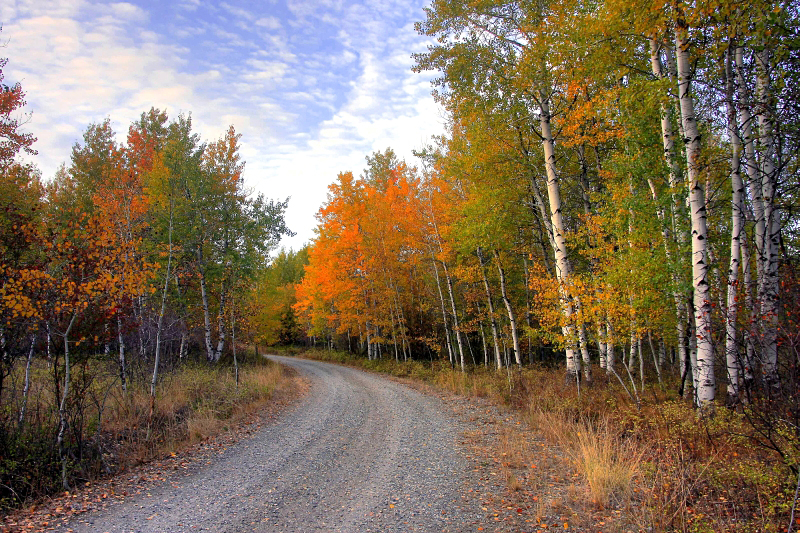 Autumn Lane