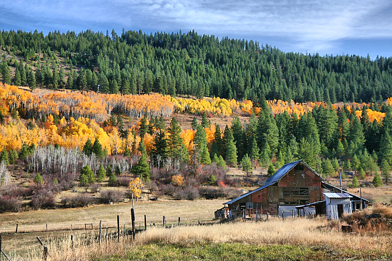 Autumn on the farm