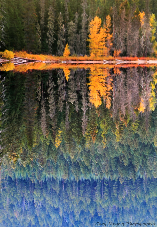 Autumn Reflections