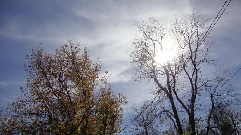 Autumn sun
