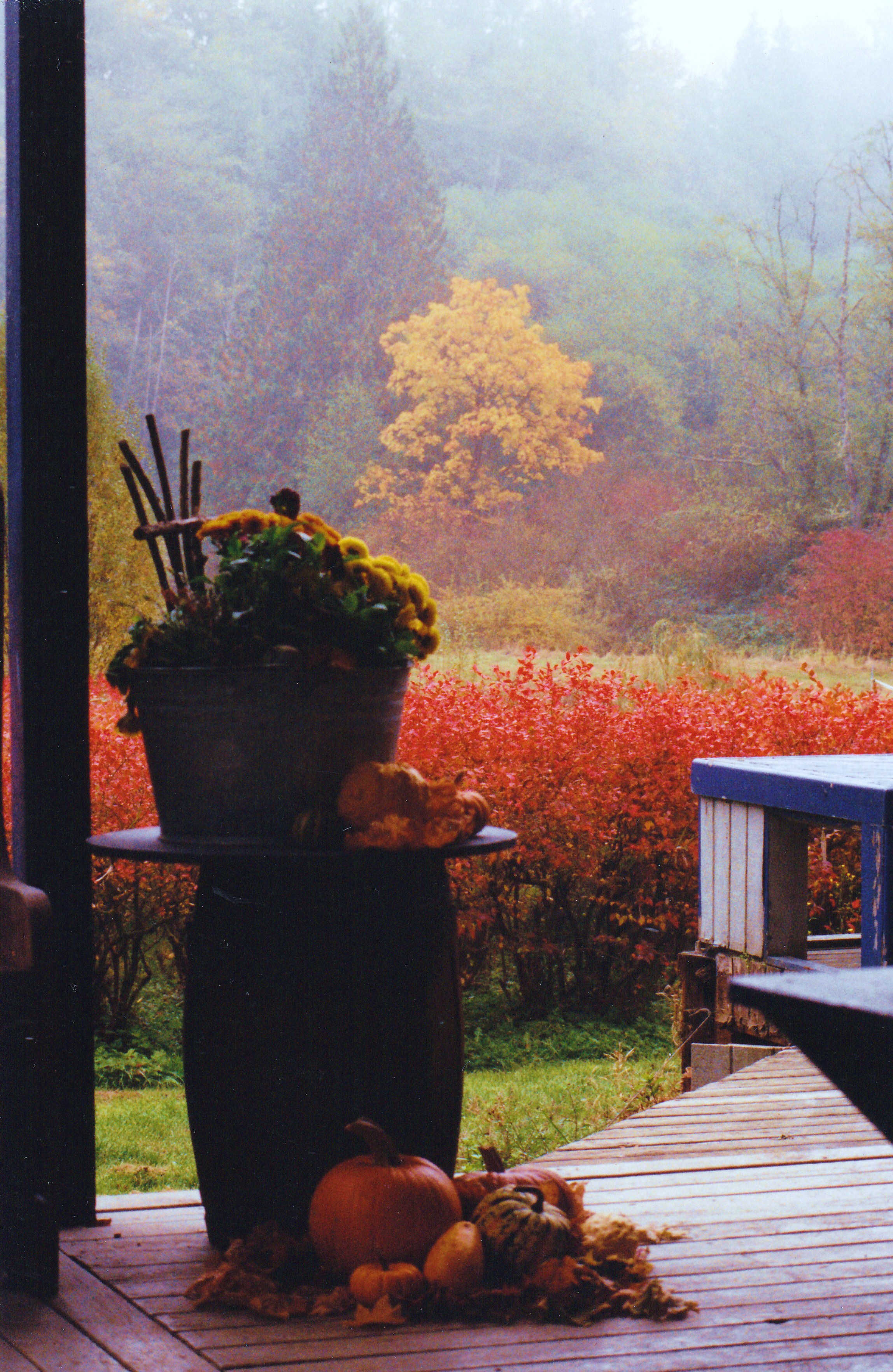 Autumn