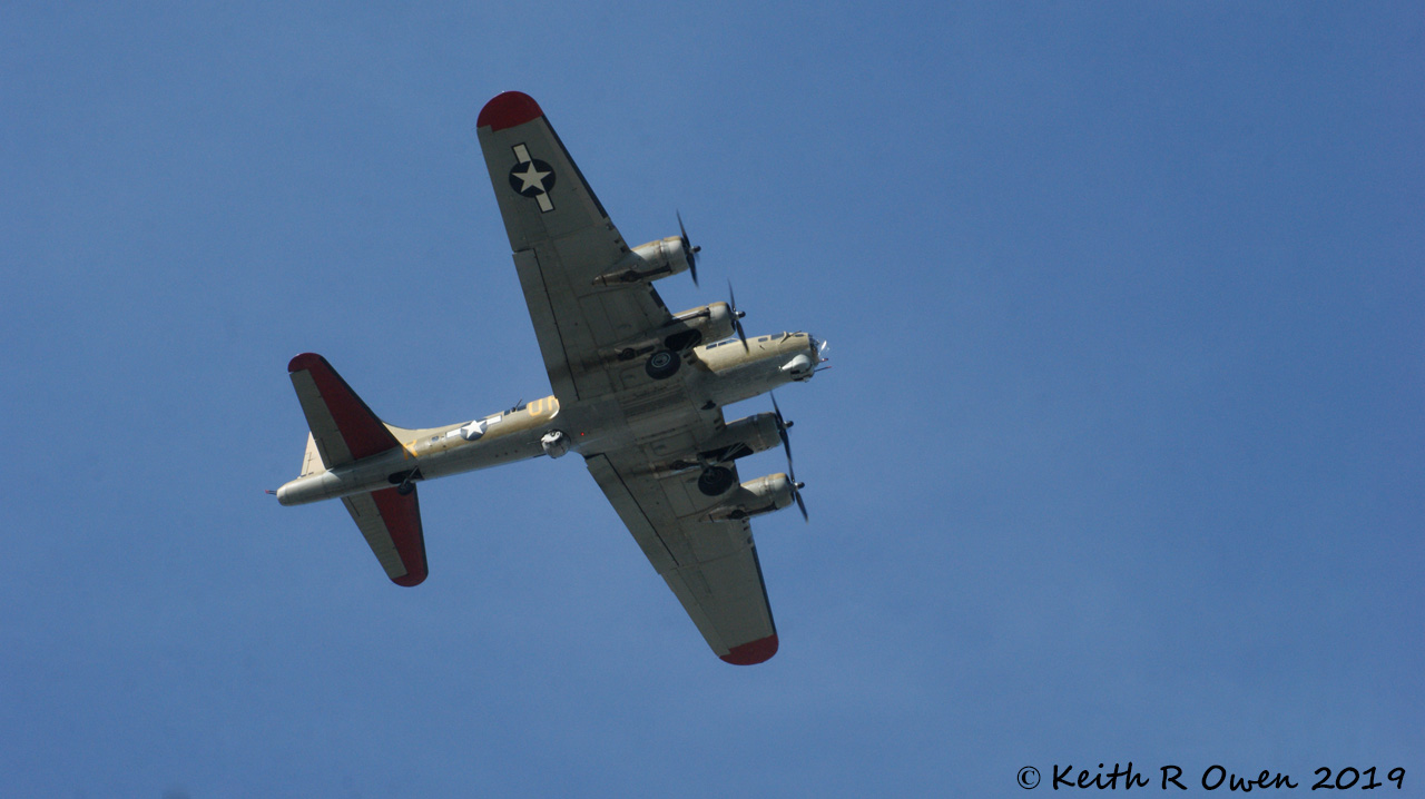 B17
