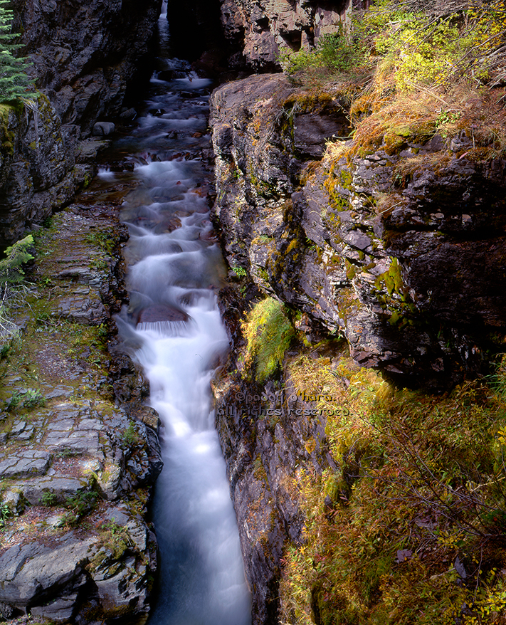 Bailey Creek (from 4x5)